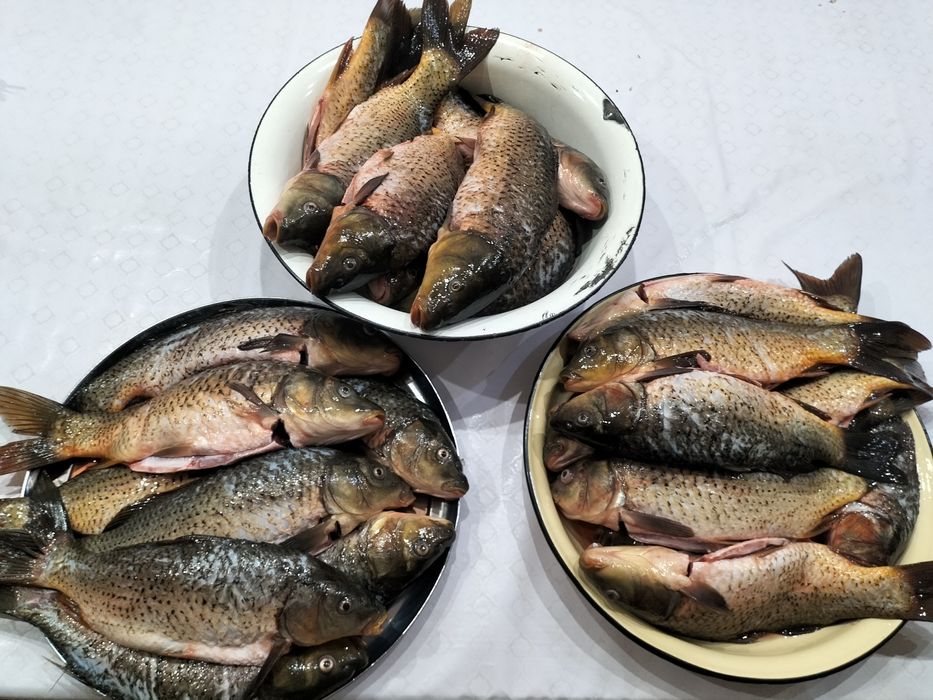 рыба САЗАН чищенный!!!