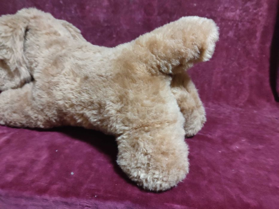 Catel din plus, culoare maro, SH dar stare buna.