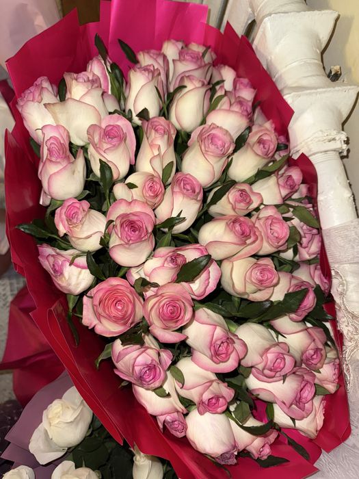 Цветы, гүл. Свежий гүл