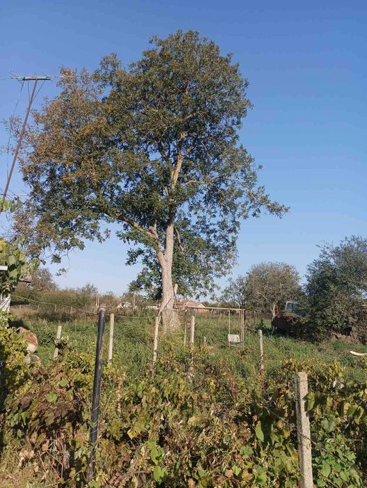 Стара къща в Къпиново