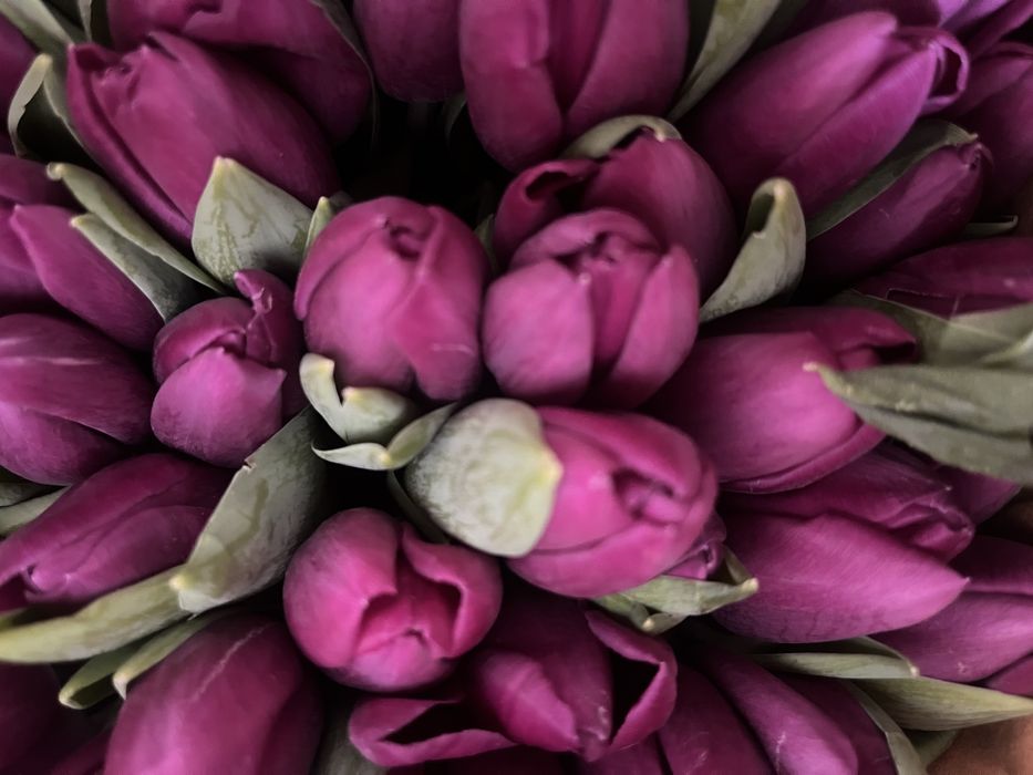 Тюльпаны с доставкой