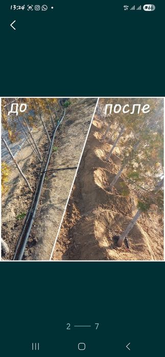 Садовник-озеленитель.