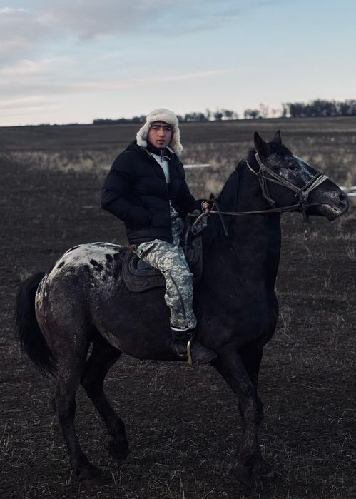 Шаухар. Чубар. шуар.байшубар