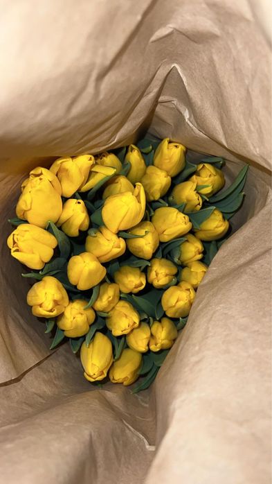 Тюльпаны голландские 350тг