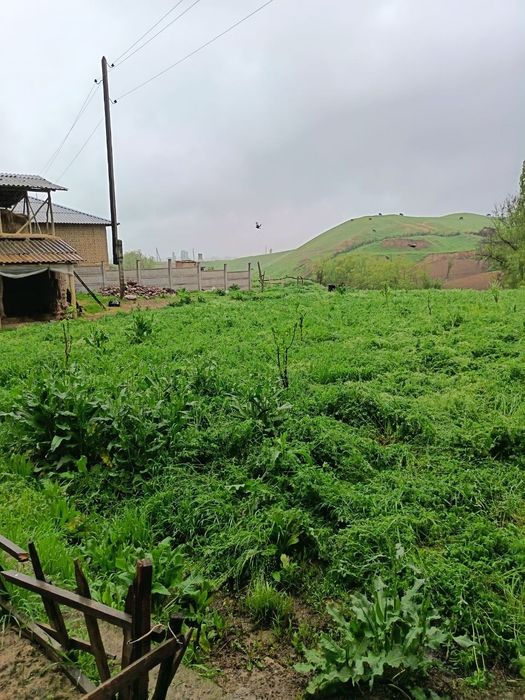 Juma bozordan bosh yer