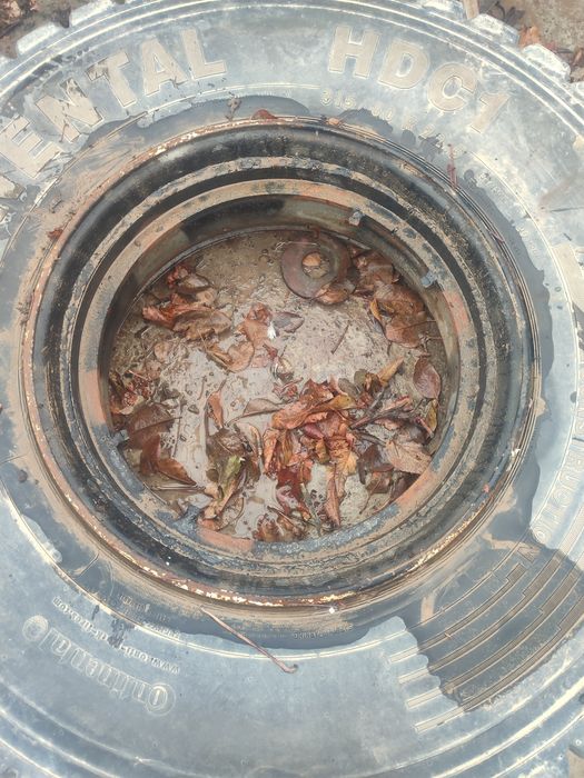 Maz peredniyga bezkamir diska