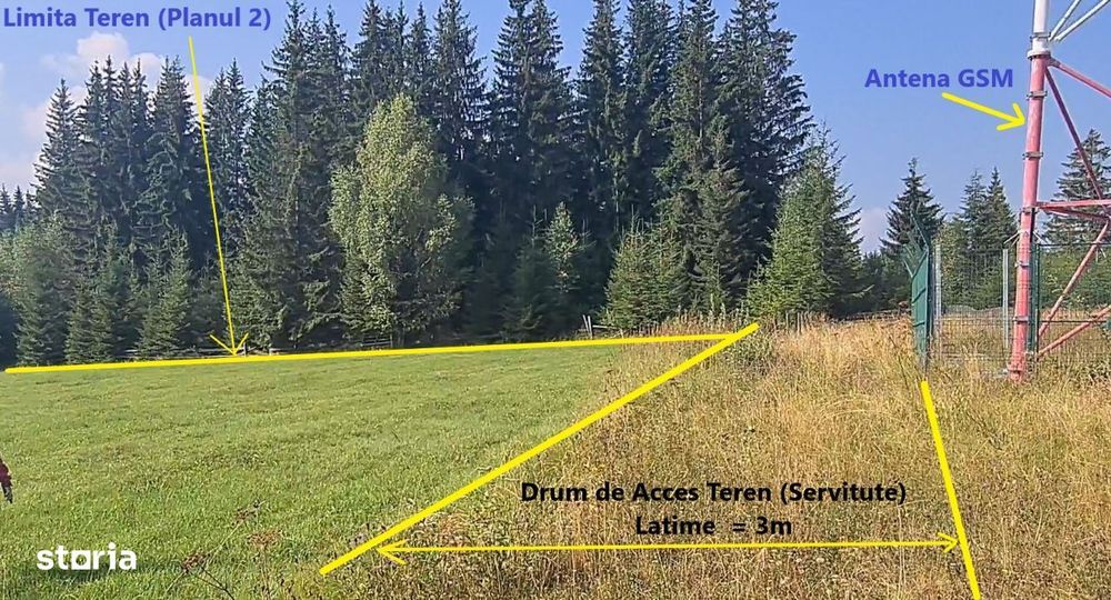 Neagra Sarului - Saru Dornei, Teren S = 6450 mp; 13 km de Vatra Dornei