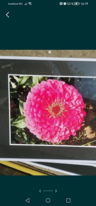 Tablou A3, cu rama și geam de sticla, poze flori sau peisaje, semnat