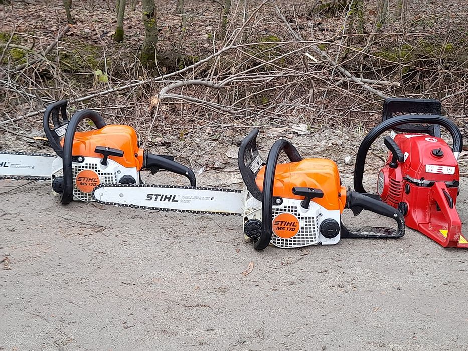 Tăiere copaci /toaletare program12/24h în toate sectoarele 1,2,3,4,5,6