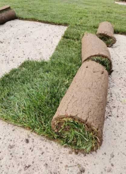 Amenajare Gradina cu Gazon Rulou Natural