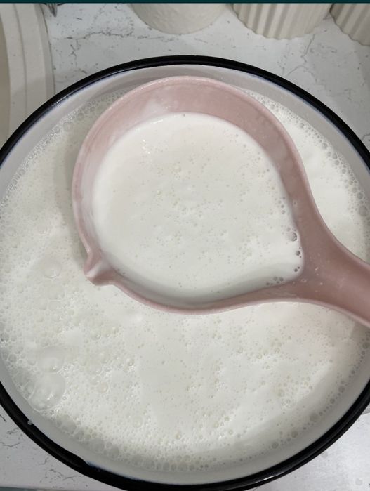 Домашний кымыз.шубат. Кумыс. Қымыз. Шұбат. Курт,