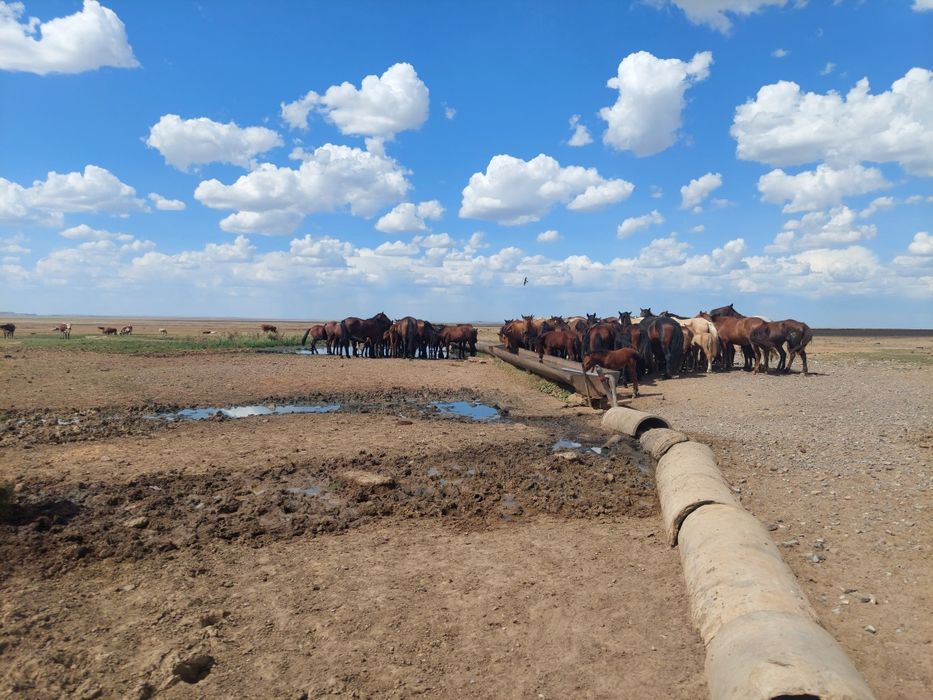 Үлкен сиқырлар жабылады