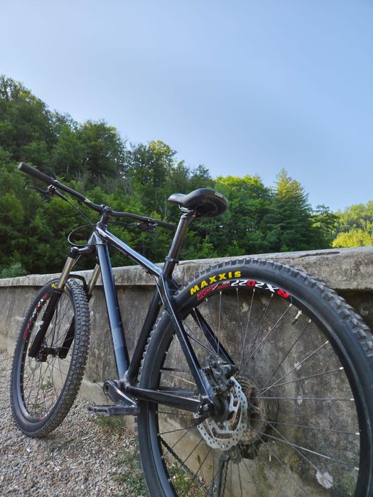 Hardtail BrandX Custom