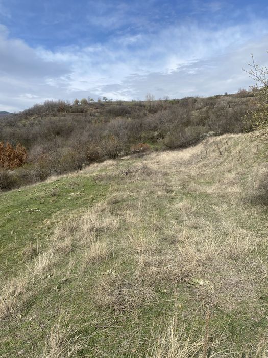 Продава се Земеделски имот в с. Блажиево, Област Кюстендил -  кв.м за 1530 €/дка - Снимка #6