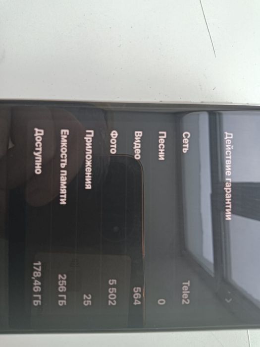 iPhone X 256 GB 100%