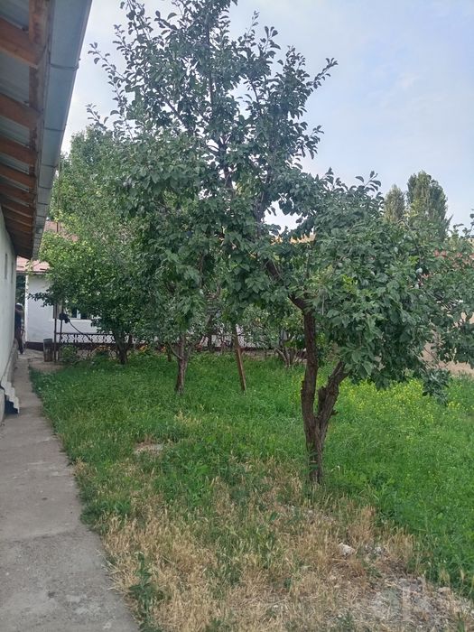 Продаётся дом в бостанлыксом районе
