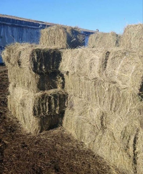 Продам Луговой сена