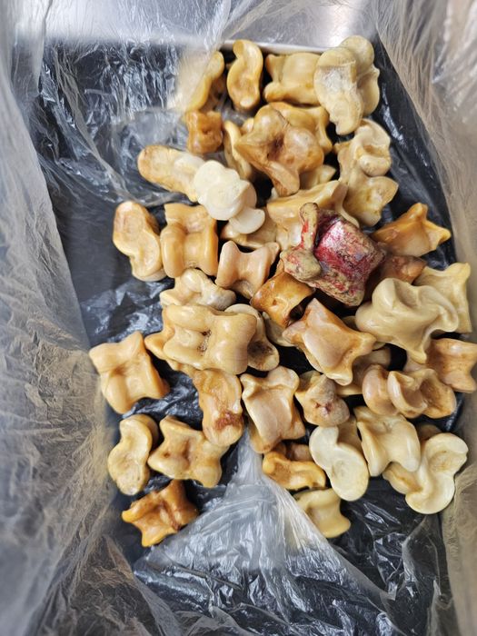 Продам Асық, альчики.