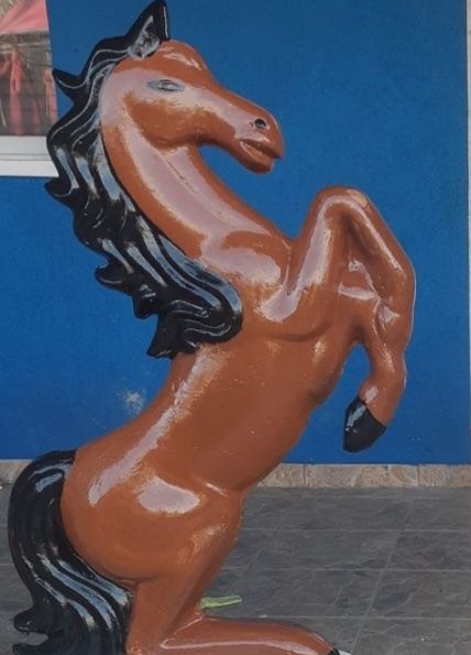 Decoratiuni gradina cal