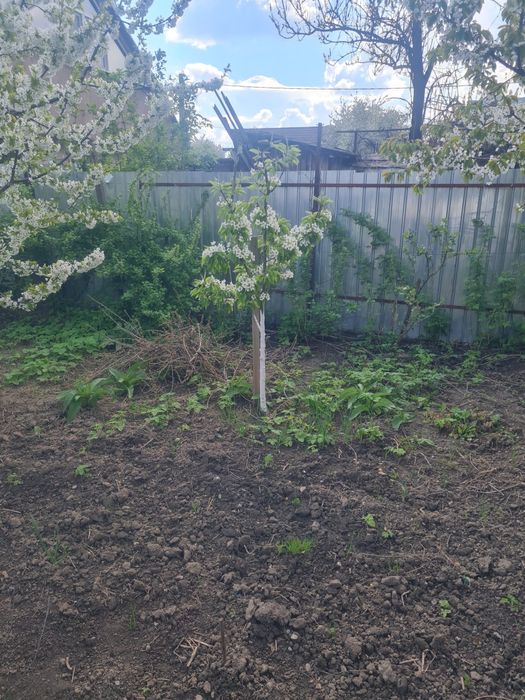 Casa batraneasca - cartierul CFR