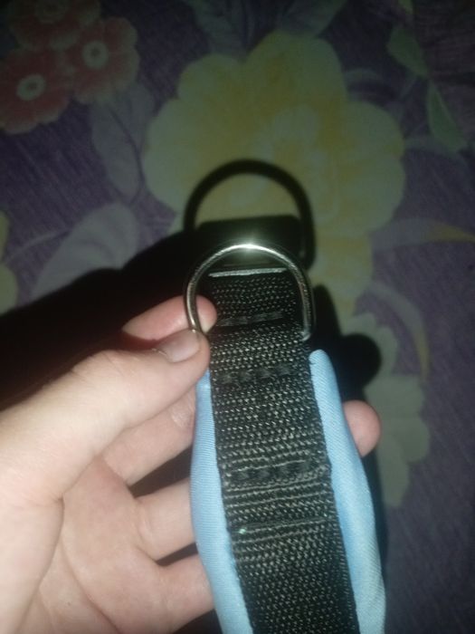 Ошейник для собак