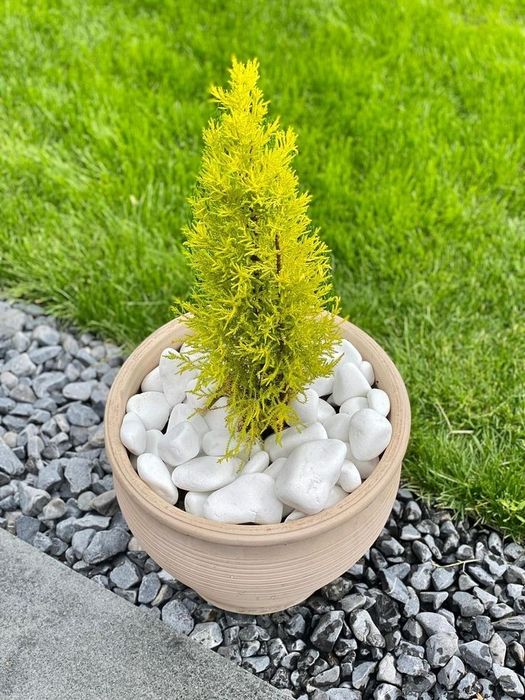 Для кошпа и ваза белий камен