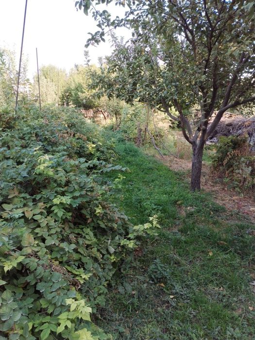 Yer sotilad(quruq yer) 4 sotix