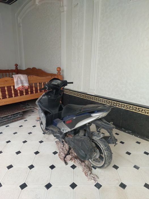 Wasad sukuter sotiladi