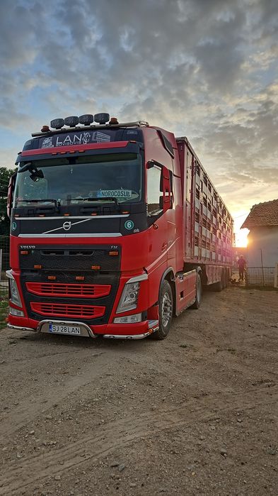 Transport animale vii