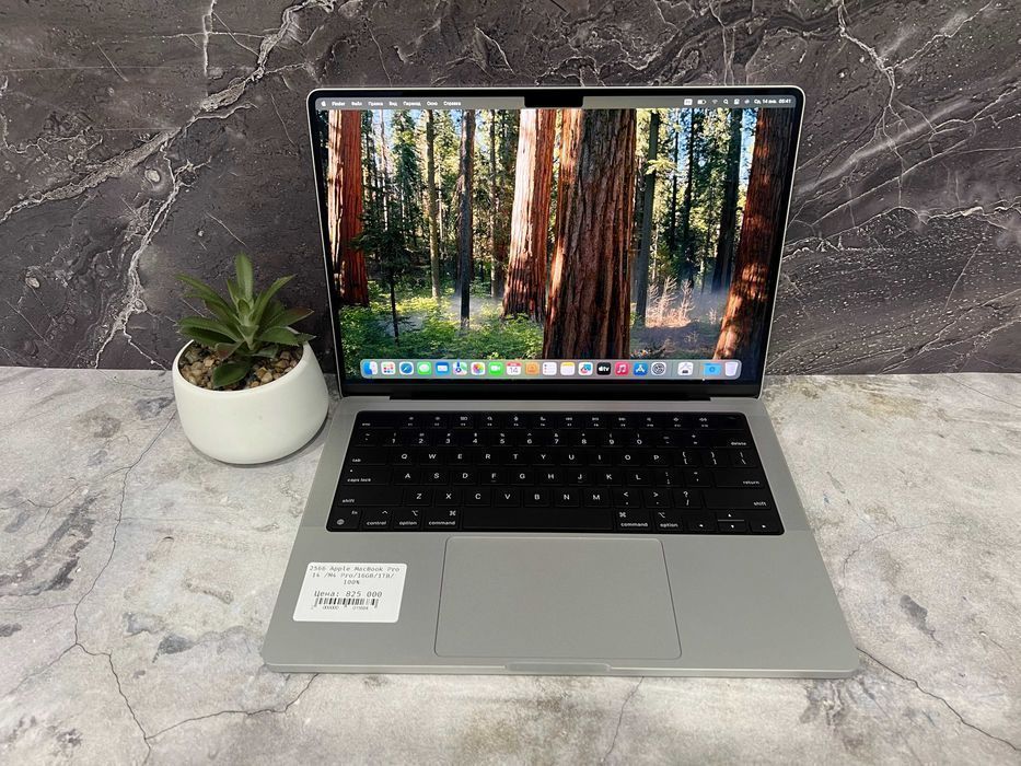 Ноутбук бизнес-класса Apple MacBook Pro 14 /M4/16GB/1TB/100%