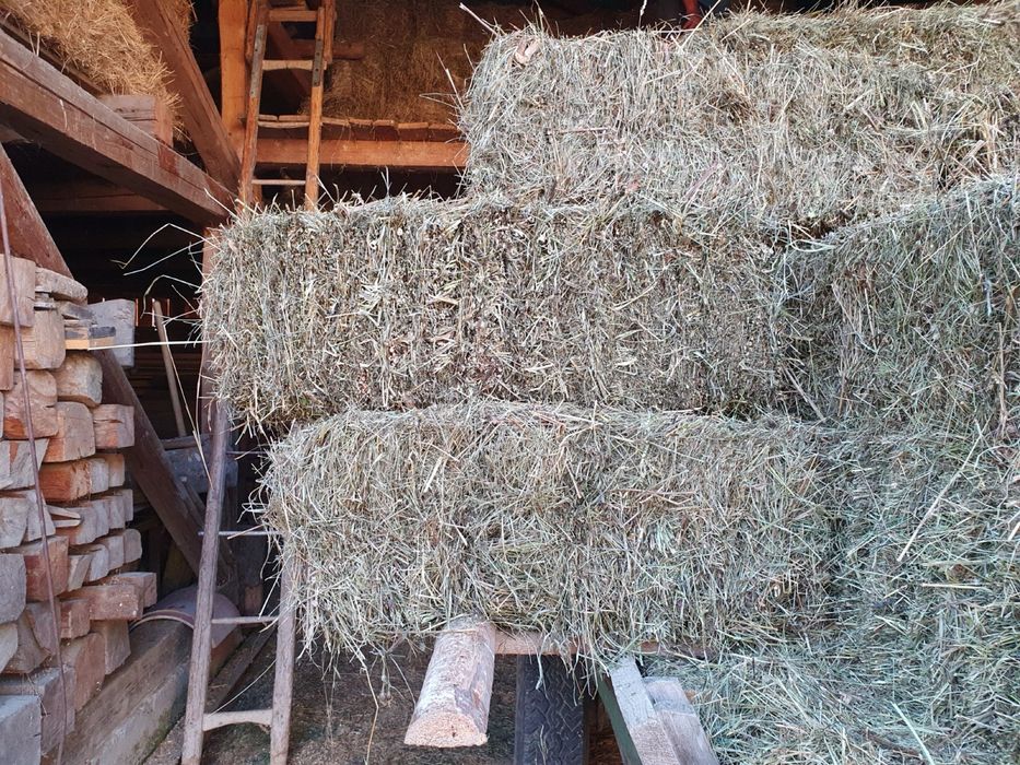 Fân de vânzare productue 2025