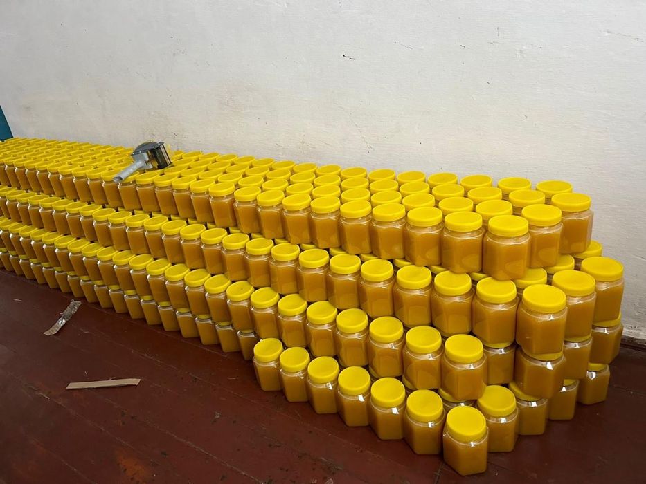 Мед Алтайский, Катонкарагайский