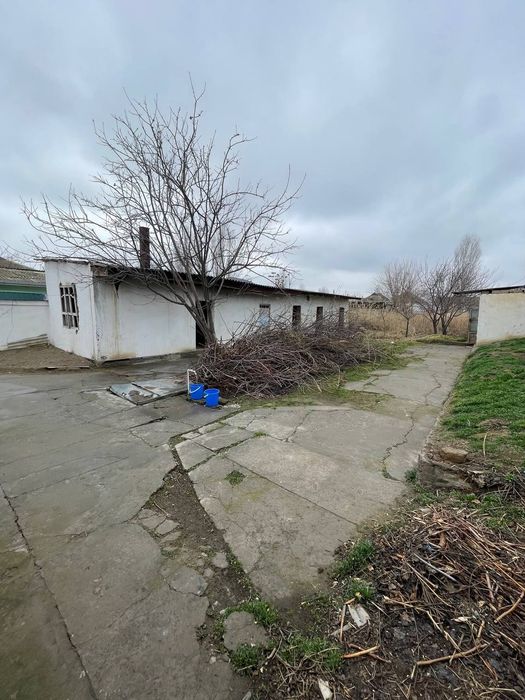 Hovli 12 sotx yaxshi joyda joylashgan