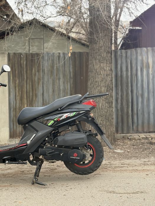 Аренда мопедов Самурай