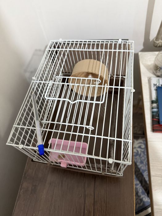 Hamster xamyak uchun qafas sotiladi