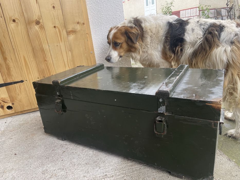 Lada de campanie sau militara