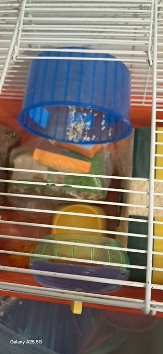 Cusca hamsteri si mancare