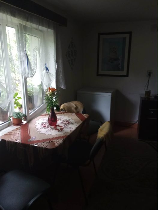 Vand casa de vacanta