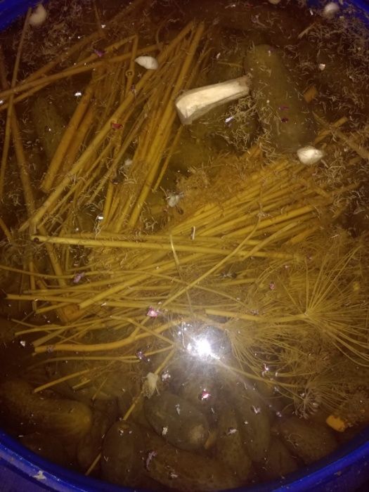 Vand castraveti murati