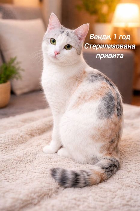Отдам в добрые руки.