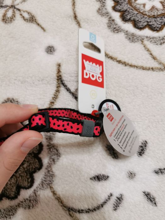 Ошейник для собак мелких пород