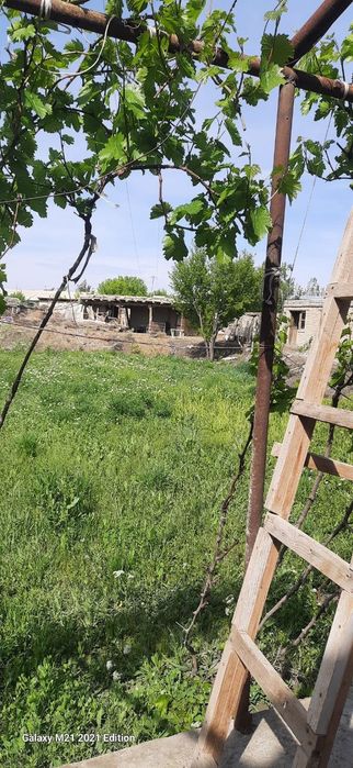 Бухоро вилояти Шофиркон тумани Дурмин махалласида 12 сотх