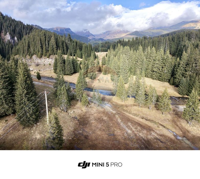 Teren de vanzare - 5000 mp - Peștera Padina