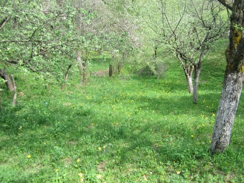 Teren intravilan Runcu