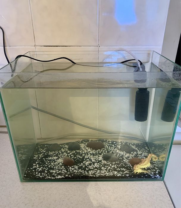 Аквариум не протекает 15-17л