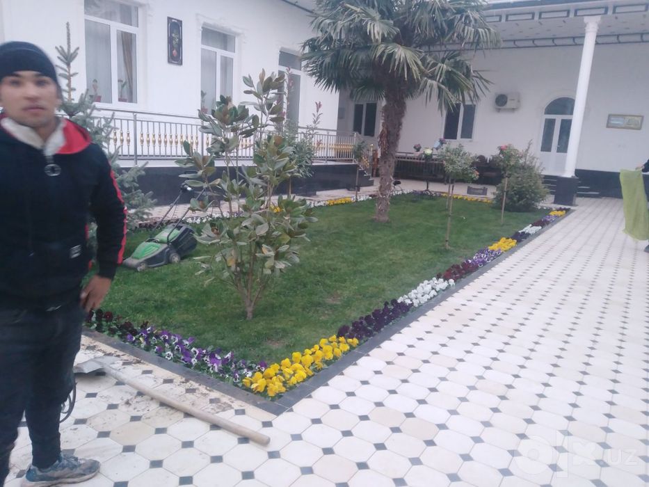 Gazon gullar ekish xizmati