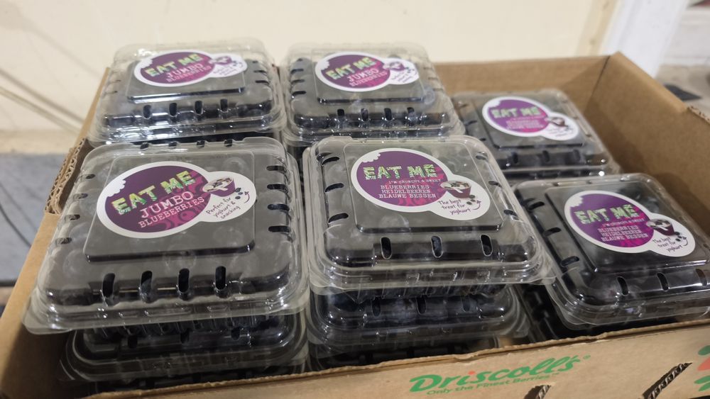 Голубика    Galubika