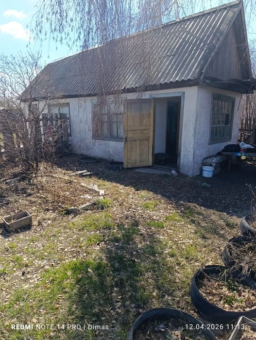 Продам дачу, садоводство яблонька