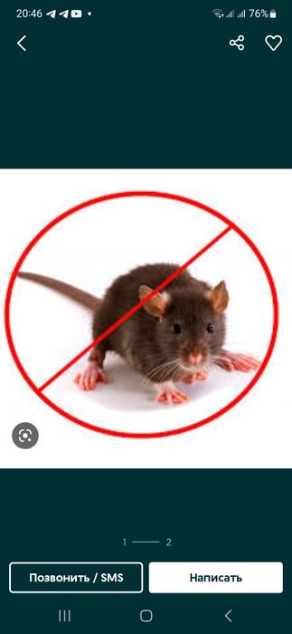 Сичкон ва Каламуш дори таракан клапа Qopqon Lovushka