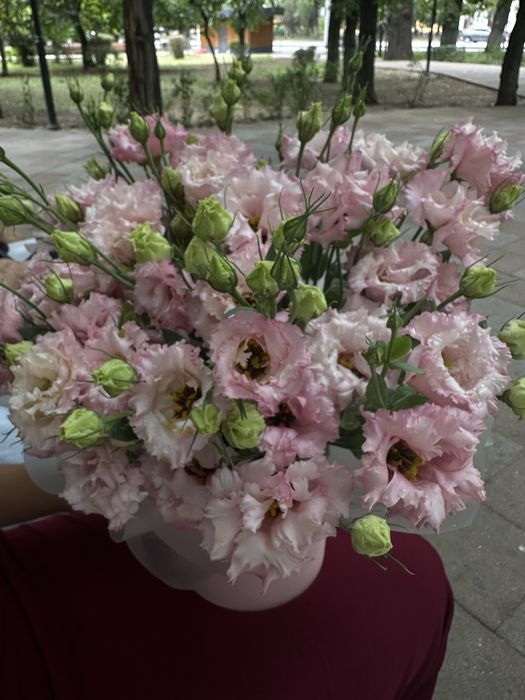 Живые цветы красивые